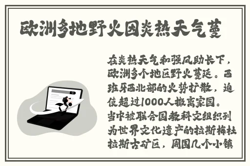 seo短视频网页入口引流